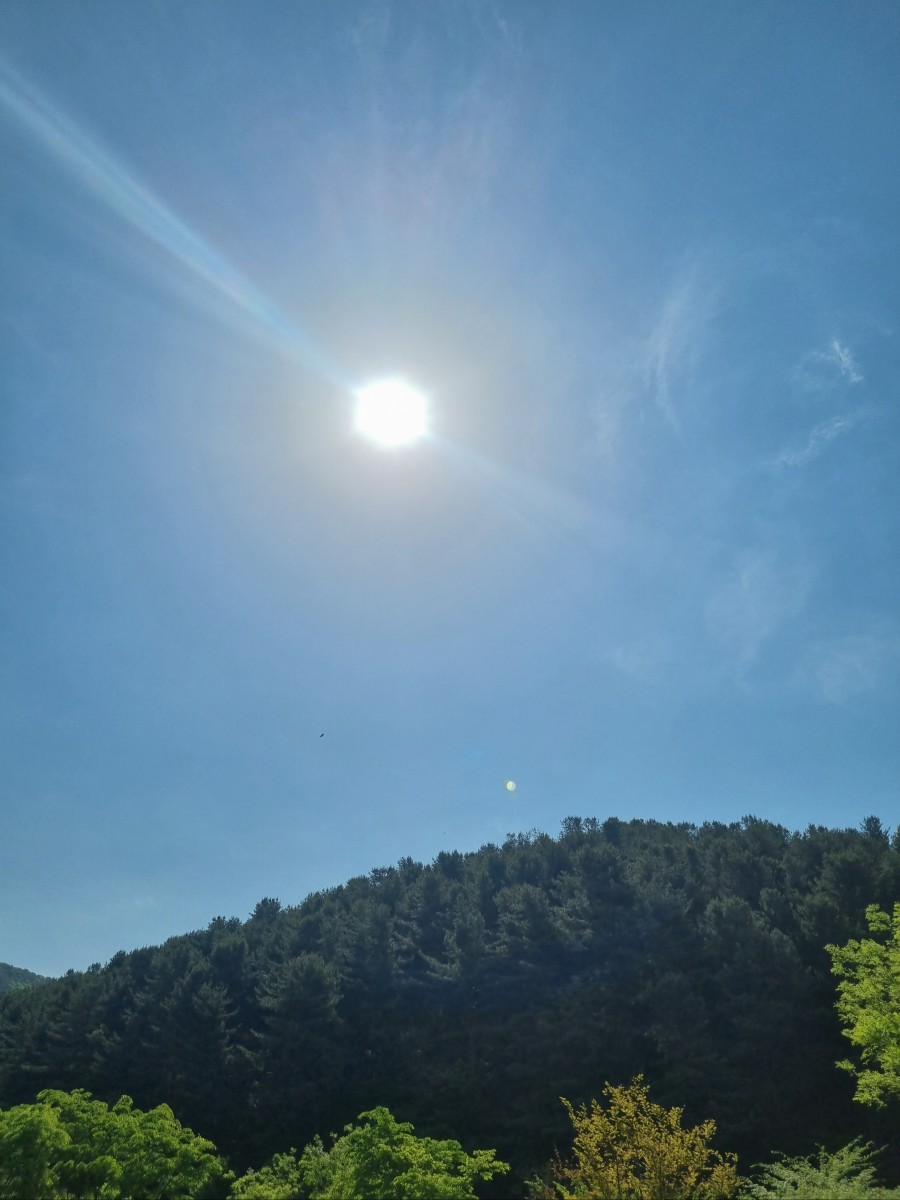 1a5fd89afbb7e5aae2f4e34b00f22654_1787654171_3418.jpg